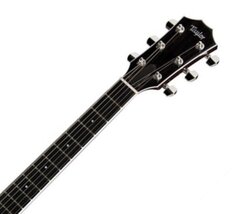 T3 NATURAL Taylor