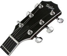 T3/B TOBACCO SUNBURST Taylor