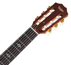 814CE-N Taylor