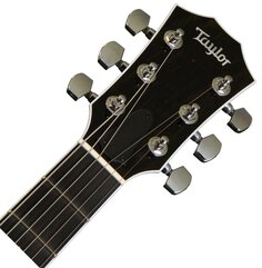 T5Z STANDARD BLACK Taylor
