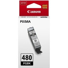 Картридж Canon PGI-480PGBK (пигментный черный)