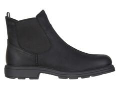 Ботинки UGG Biltmore Chelsea, черный