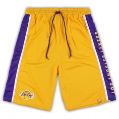 Мужские фирменные золотые шорты Los Angeles Lakers Big &amp; Tall Referee Iconic в сетку Fanatics