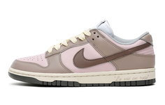 Женские туфли Nike Dunk Low Skate