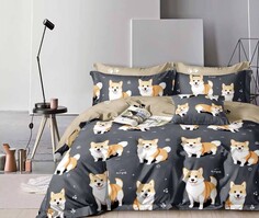 Постельное белье 2-х сп с евро прост. Viola’