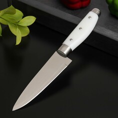 Нож кухонный доляна