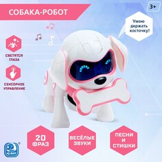 Робот собака IQ BOT