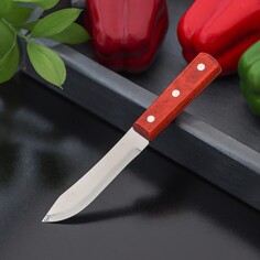Нож для мяса и стейков доляна