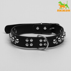 Ошейник Пижон