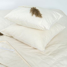 Комплект для сна Пралине: тёплое одеяло 200x220 + две подушки 50x70 Лазурит