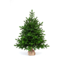 Искусственные елки Царь Елка Ель искусственная Астерия Премиум 3D 60 см