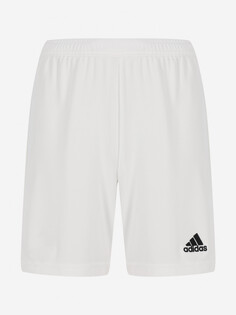 Шорты для мальчиков adidas Entrada 22,