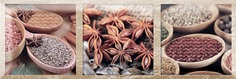 Керамическая плитка MONOPOLE
