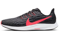 Nike Air Zoom Пегас 36