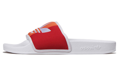 Унисекс Adidas Originals Adidas Originals Adilette Спортивные тапочки Разноцветные