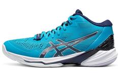 Мужские кроссовки Asics Sky Elite FF