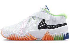 Баскетбольные кроссовки Nike Zoom Court Dragon Мужские