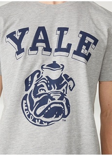 Серая меланжевая мужская футболка с принтом Yale Never Say Never