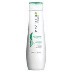 Matrix Biolage Anti-Dandruff Scalpsync Shampoo шампунь против перхоти 250мл