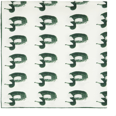 Зелено-белый шарф с принтом утки Burberry