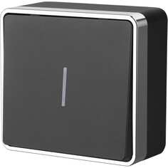 Одноклавишный выключатель WERKEL