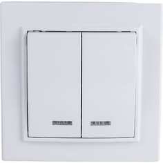 Двухклавишный выключатель STEKKER