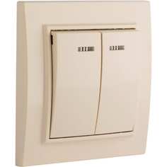 2-клавишный выключатель EKF