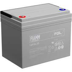 Аккумуляторная батарея FIAMM