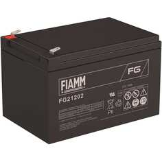 Аккумуляторная батарея FIAMM