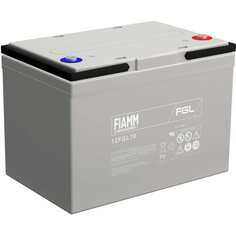 Аккумуляторная батарея FIAMM