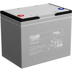 Аккумуляторная батарея FIAMM