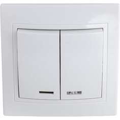 Двухклавишный выключатель TDM