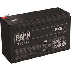 Аккумуляторная батарея FIAMM