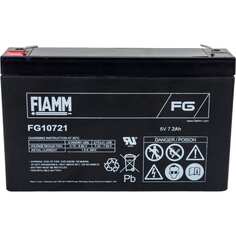 Аккумуляторная батарея FIAMM