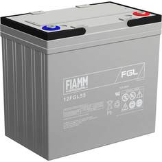 Аккумуляторная батарея FIAMM