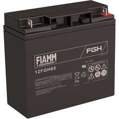 Аккумуляторная батарея FIAMM