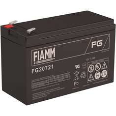 Аккумуляторная батарея FIAMM