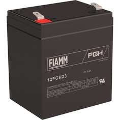 Аккумуляторная батарея FIAMM