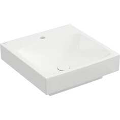 Раковина Berges