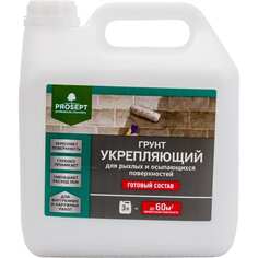 Укрепляющий грунт для рыхлых и осыпающихся поверхностей PROSEPT
