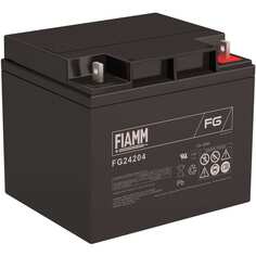 Аккумуляторная батарея FIAMM