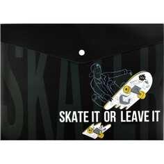 Папка для тетрадей Феникс +