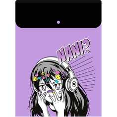 Папка для тетрадей Феникс +