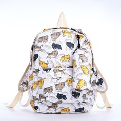 Рюкзак школьный из текстиля на молнии, 3 кармана, пенал, цвет белый/разноцветный NO Brand