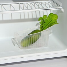 Контейнер для холодильника доляна, 16,5×7×9 см, цвет прозрачный