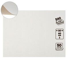 Картон переплетный 0.9 мм, 30 х 40 см, 50 листов, 540 г/м², белый Calligrata