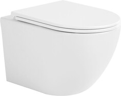 Подвесной безободковый унитаз с сиденьем микролифт Sintesi Evi SIN-TS-EVI-151WM