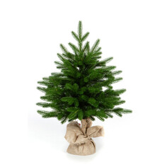 Искусственные елки Crystal Trees Ель Оливия 60 см