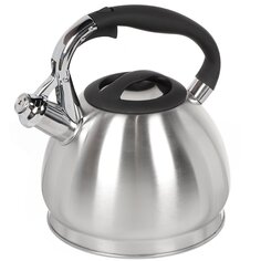 Чайник нержавеющая сталь, 3 л, со свистком, матовый, ручка бакелитовая, Daniks, GS-04511
