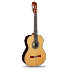Классические гитары Alhambra 3.847 Linea Profesional (кейс в комплекте) 9.557